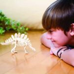 4Μ Ανασκαφή Σκελετού Δεινοσαύρου Τυραννόσαυρος Rex